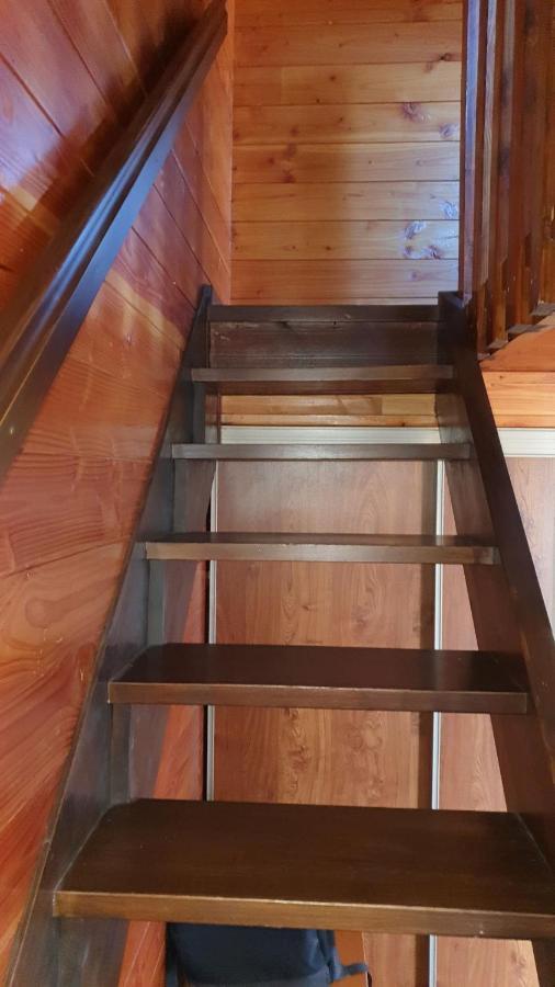 Chalet Individuel Les Sorbiers - 80M2 - Jardin - Barbecue - Wifi - Netflix - Ski & Randonnee - Pyrenees Catalanes Francaises - Eyne Eksteriør bilde