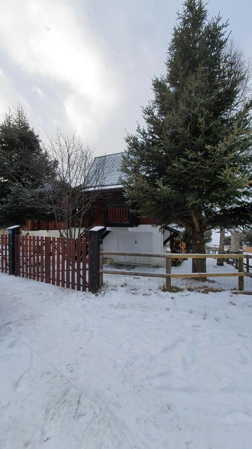 Chalet Individuel Les Sorbiers - 80M2 - Jardin - Barbecue - Wifi - Netflix - Ski & Randonnee - Pyrenees Catalanes Francaises - Eyne Eksteriør bilde