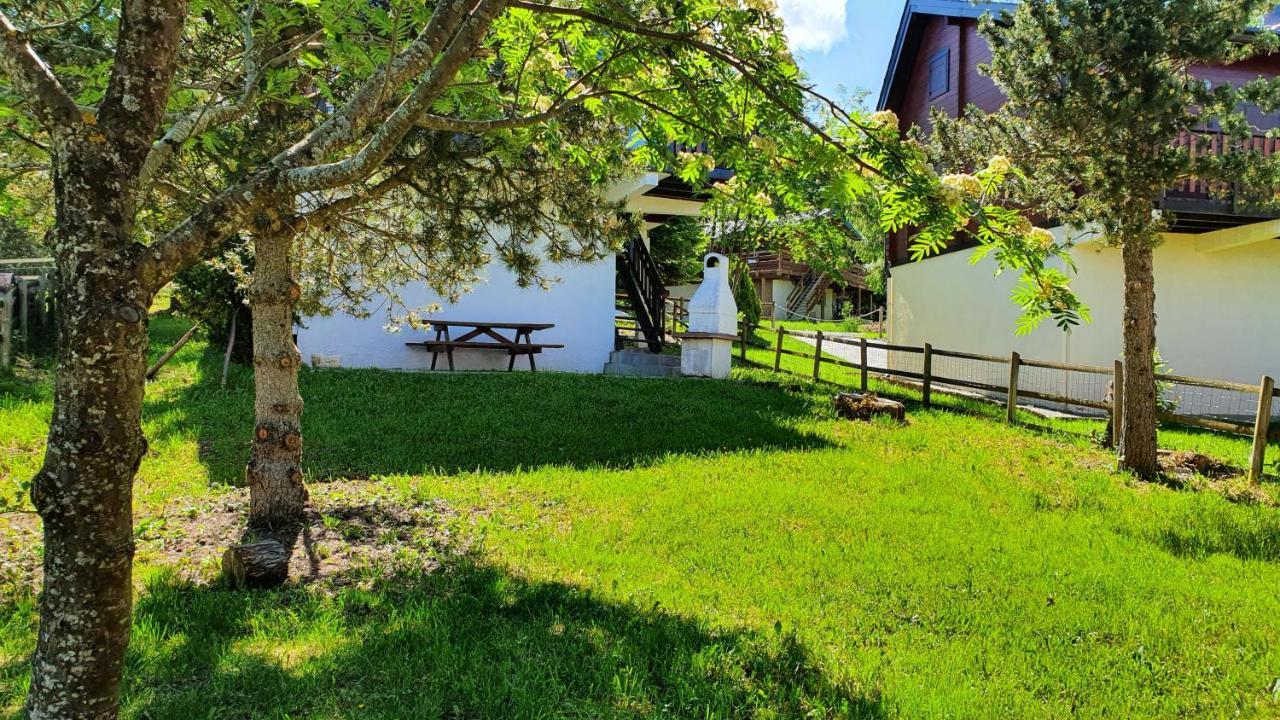 Chalet Individuel Les Sorbiers - 80M2 - Jardin - Barbecue - Wifi - Netflix - Ski & Randonnee - Pyrenees Catalanes Francaises - Eyne Eksteriør bilde